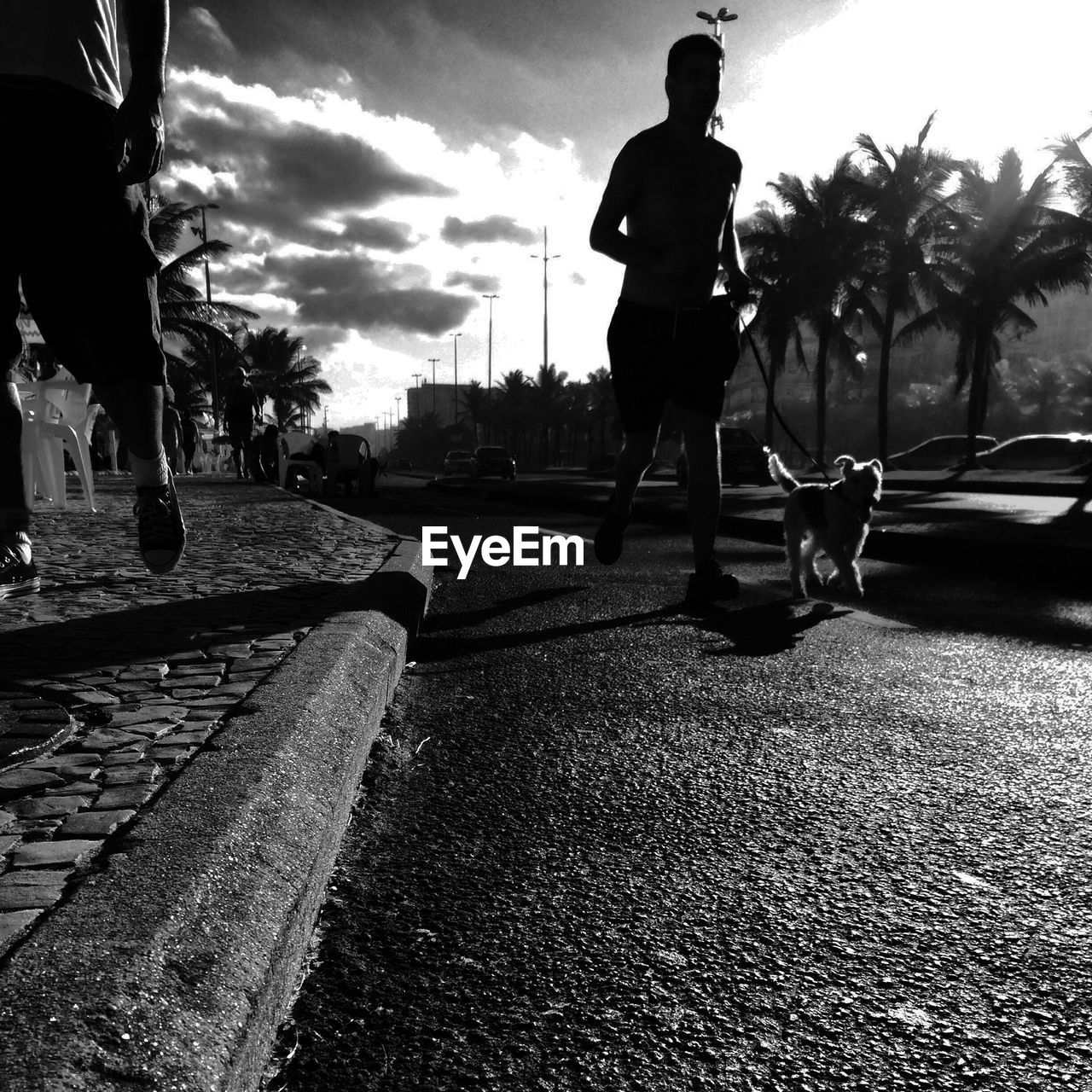 Low angle view of silhouette men running on street with dog