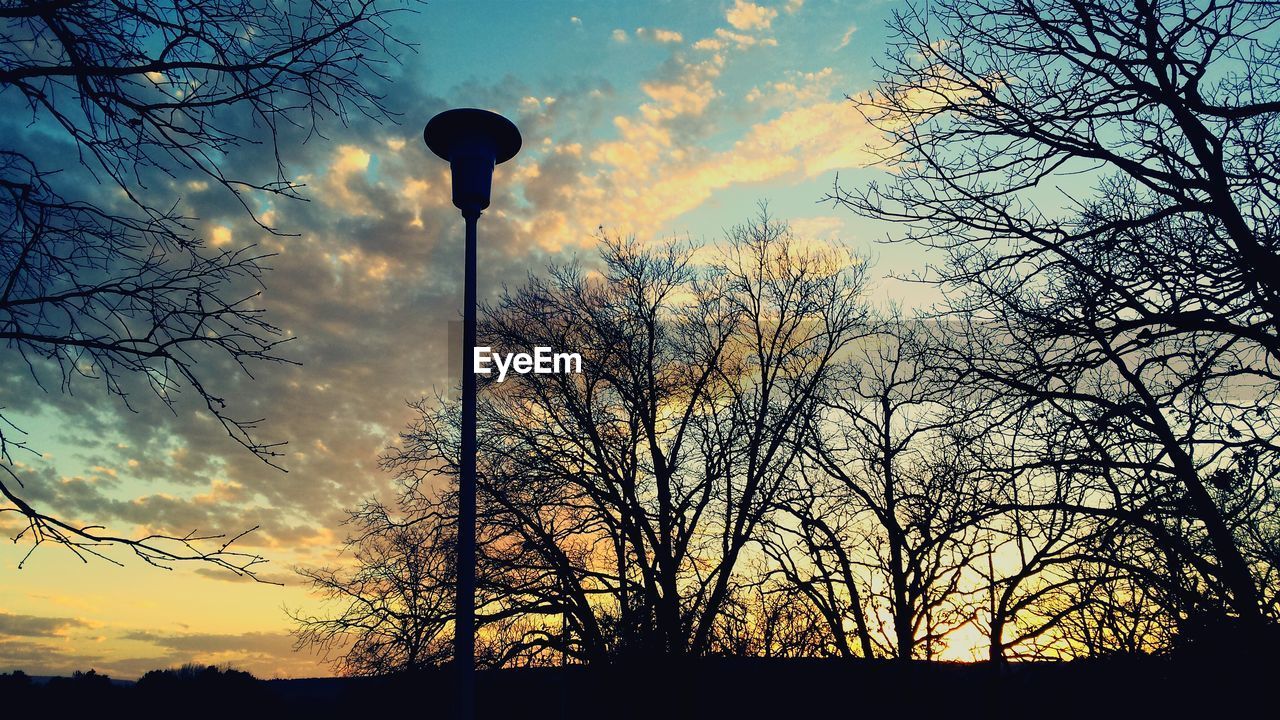 SILHOUETTE OF BARE TREES AGAINST SKY AT SUNSET