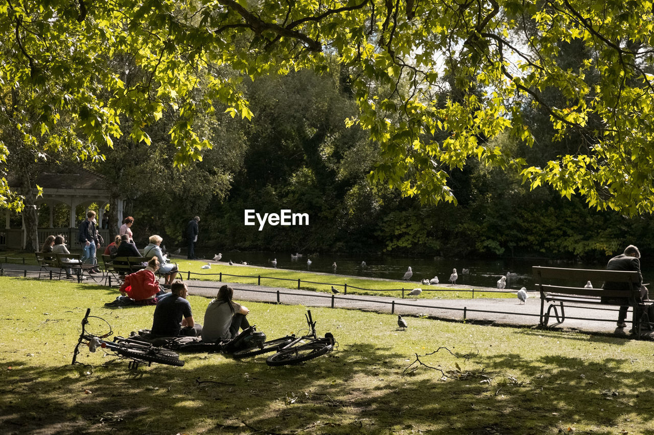 People sitting in park