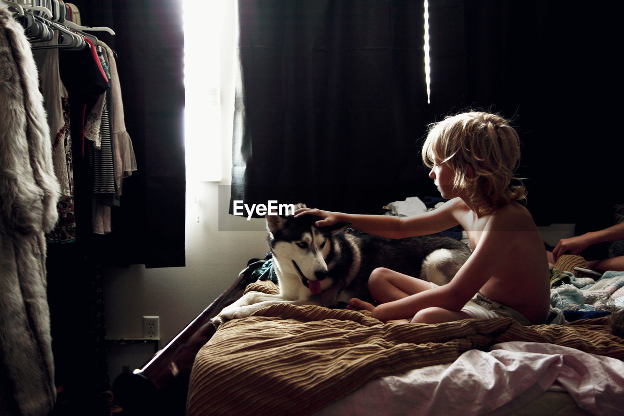Shirtless boy touching siberian husky dog on bed