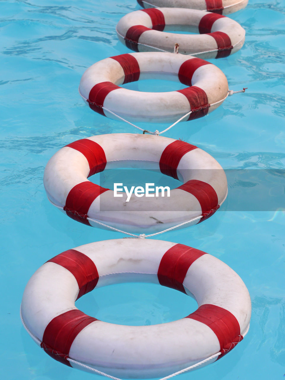 High angle view of inflatable rings in swimming pool