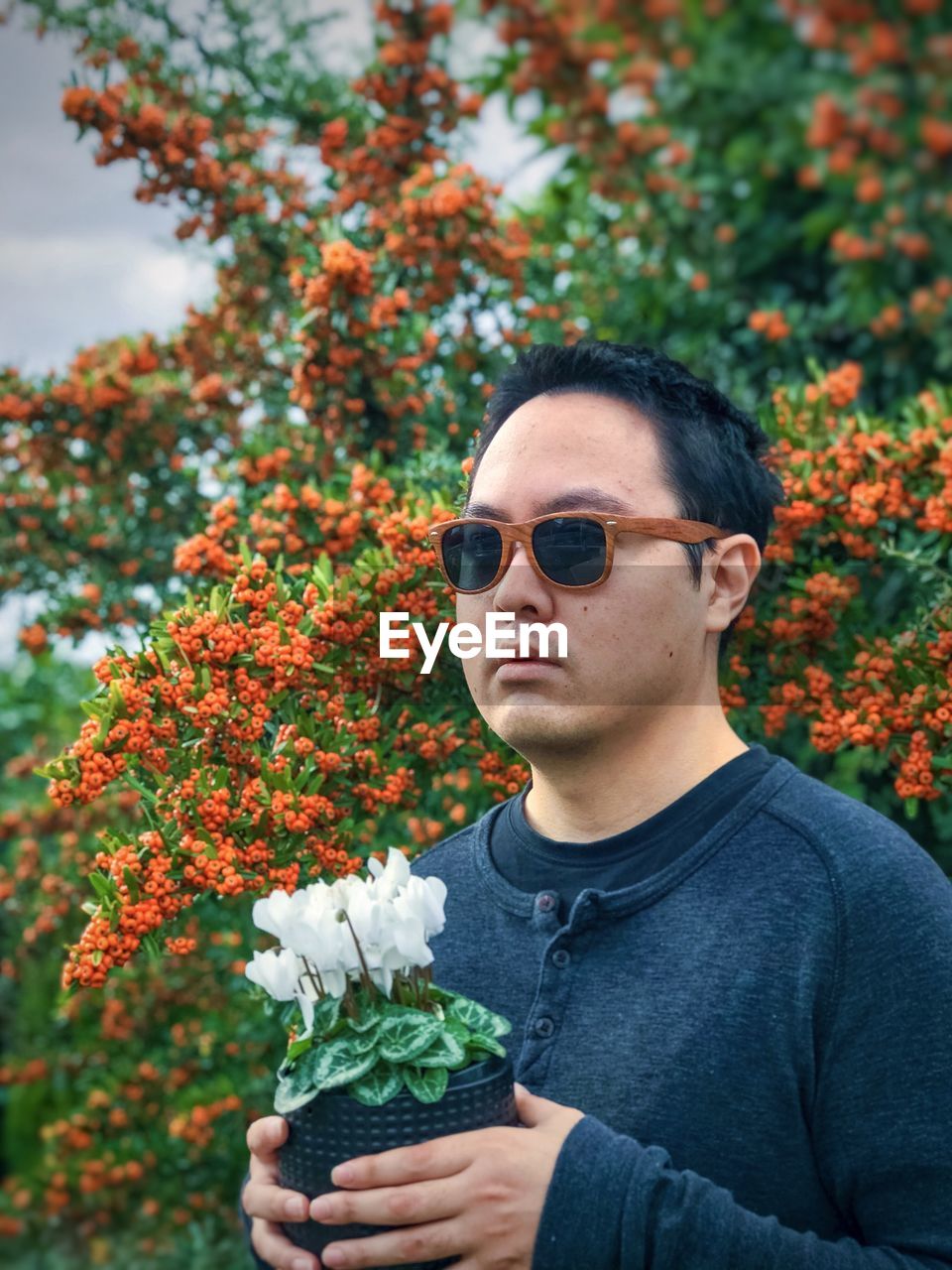 Portrait of young man holding white flowering cyclamen potted plant against yellow berry rowan tree.