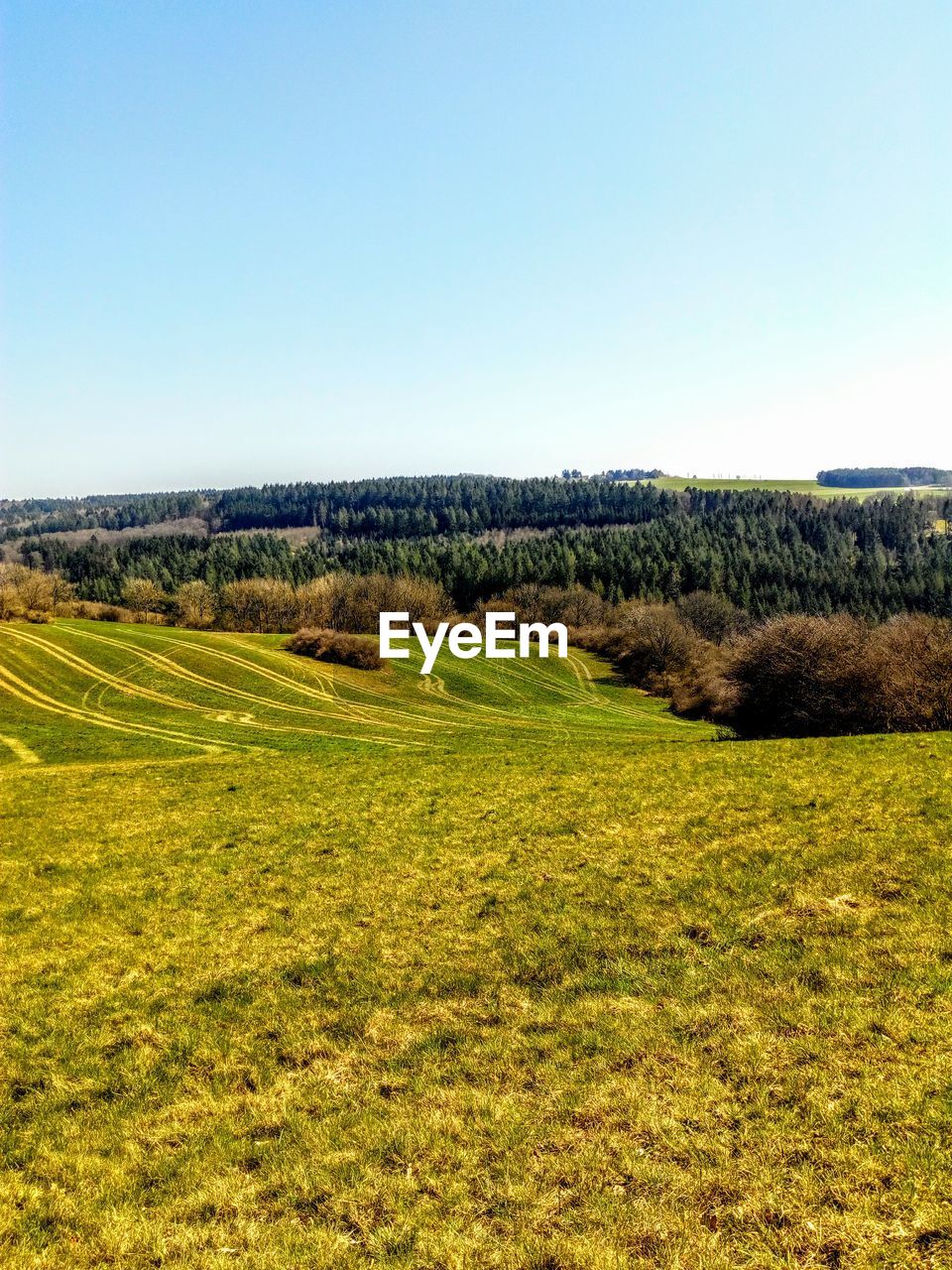 Scenic view of landscape against clear sky