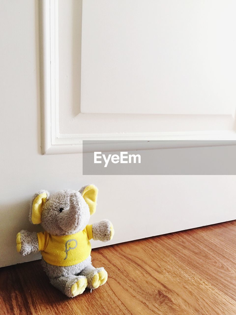 Elephant toy on hardwood floor against door