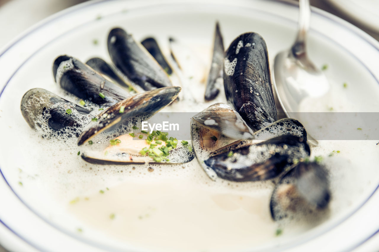 Close-up of clams in plate on table