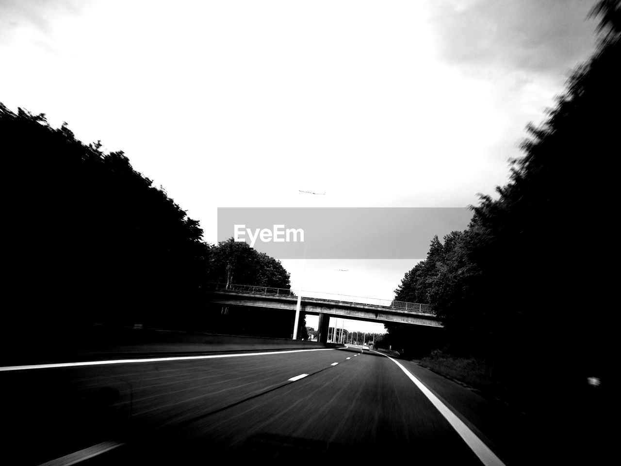 ROAD AMIDST TREES AGAINST SKY