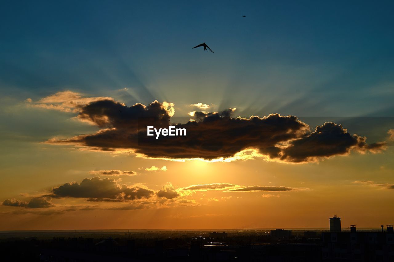 SILHOUETTE OF BIRDS FLYING OVER SUNSET