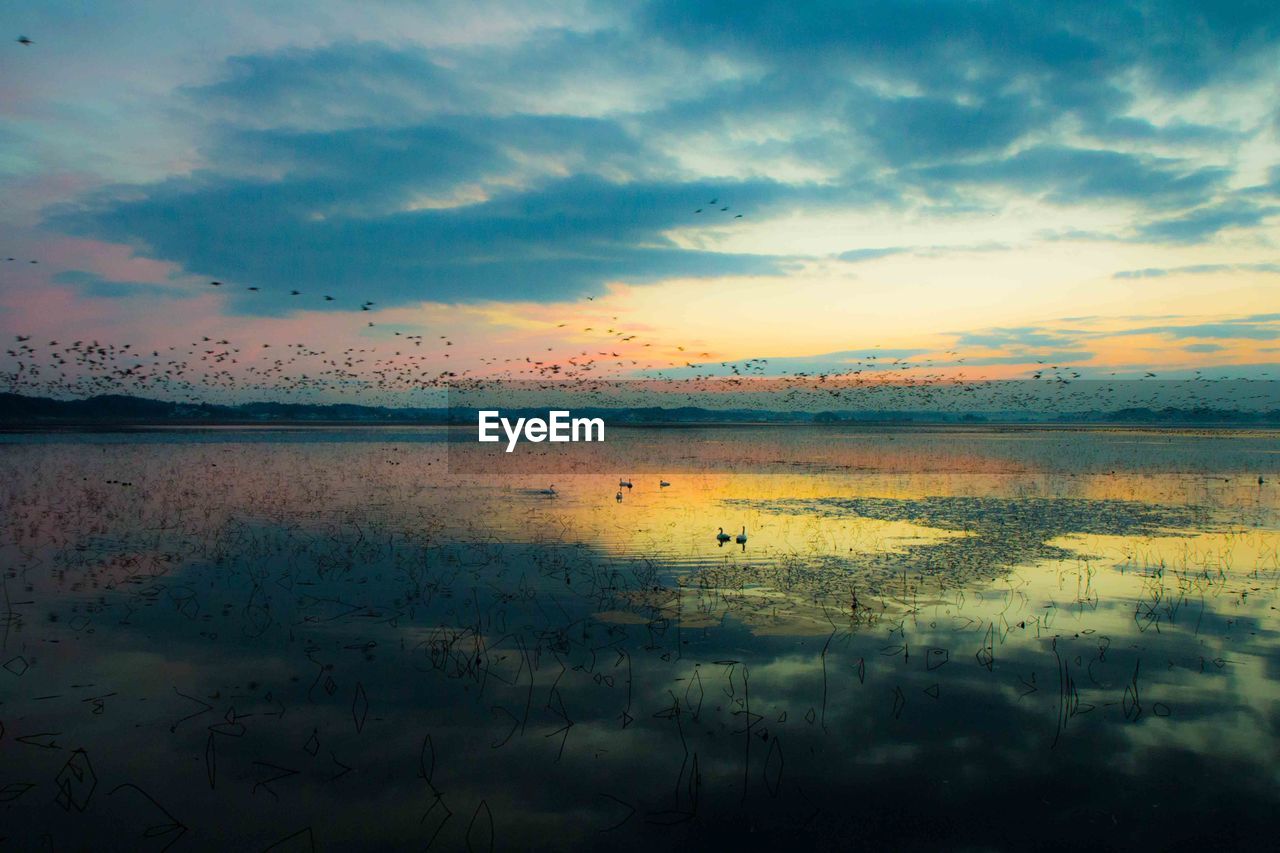 Tranquil view of lake at sunset