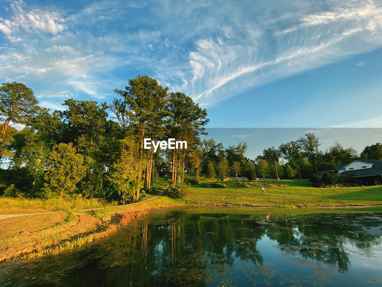 SCENIC VIEW OF LAKE AGAINST TREES