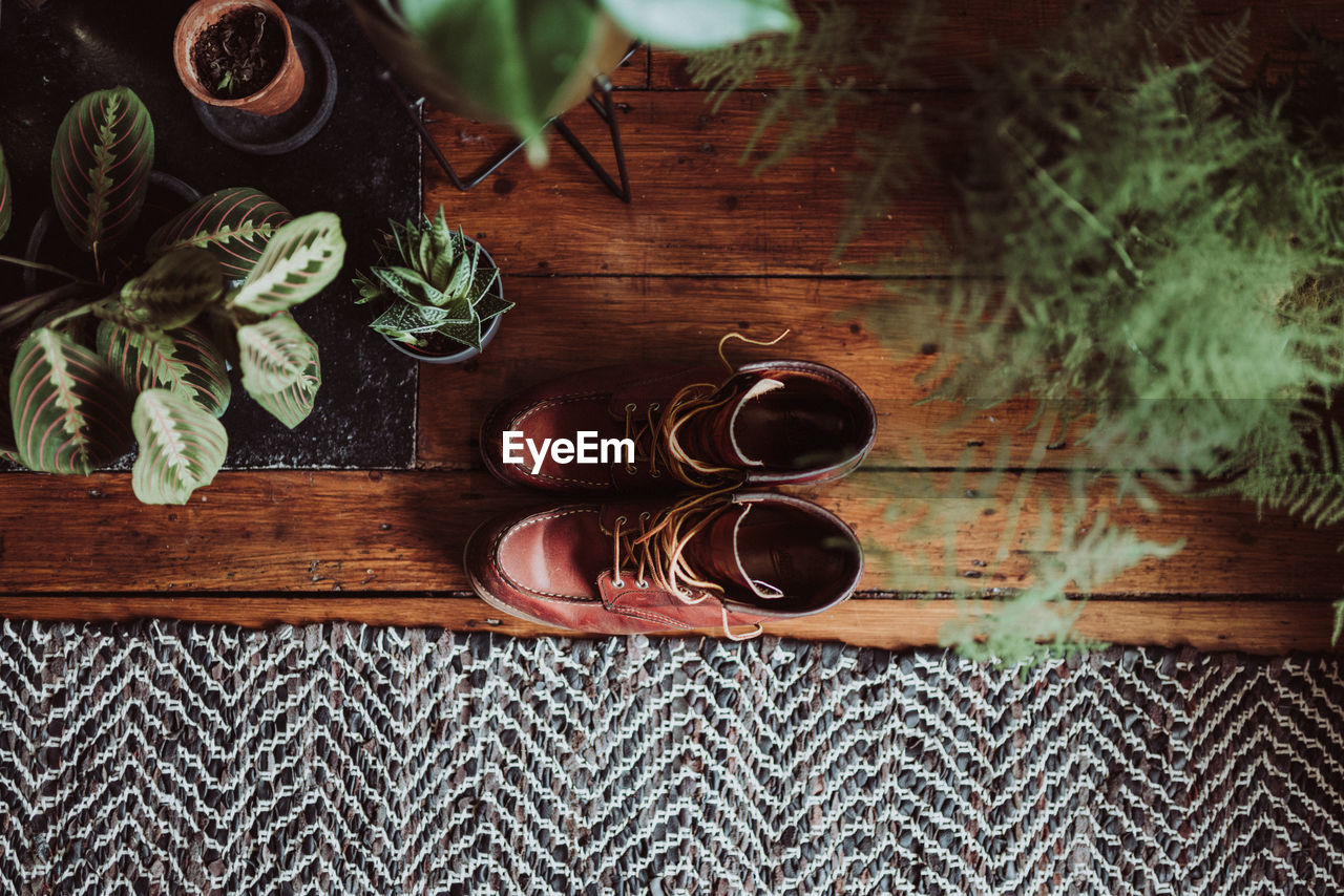 Directly above shoot of shoes on table by potted plants