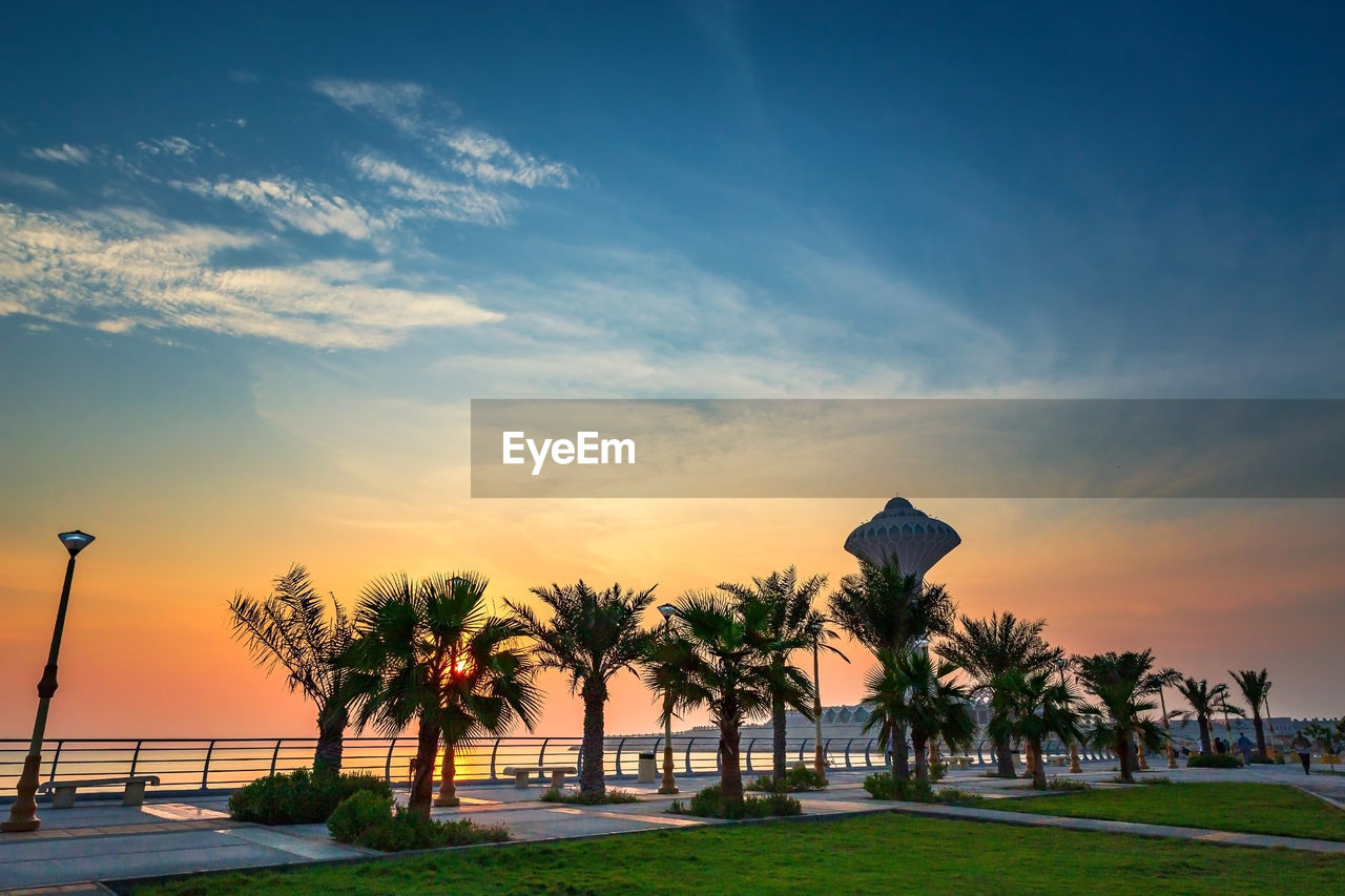 Palm trees by sea against sky during sunset