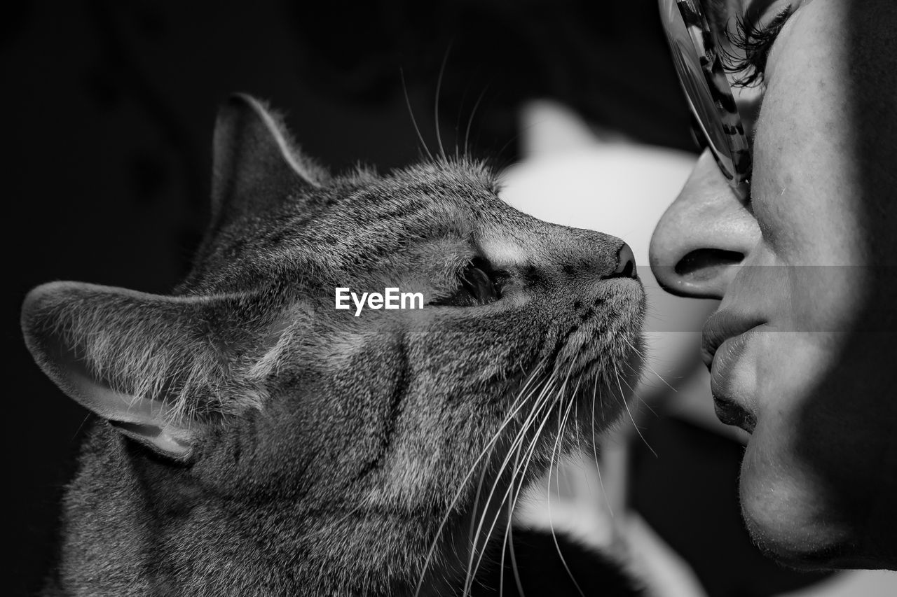 The perfect bond between human and animal
