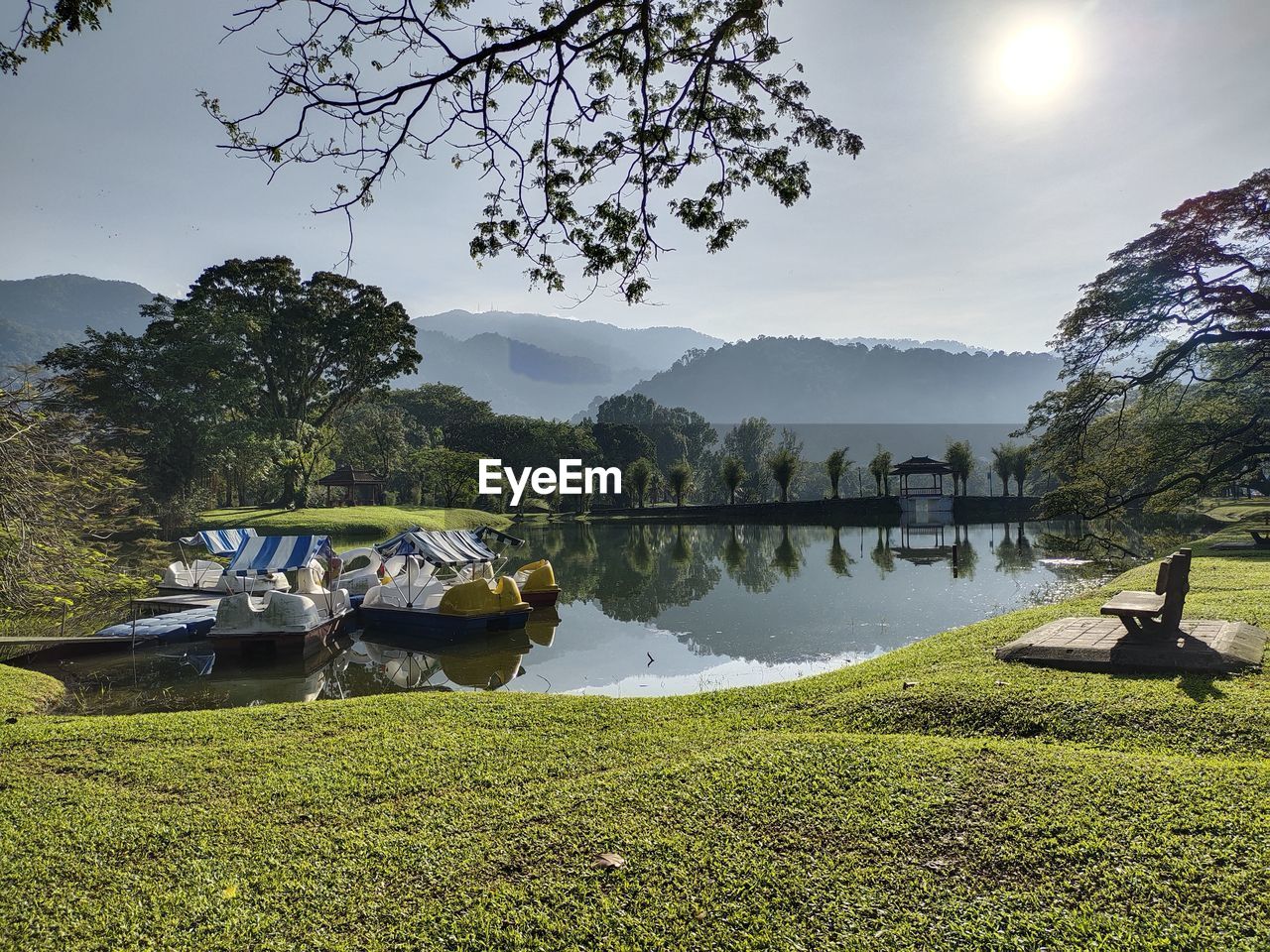 Scenic view of lake by trees against sky