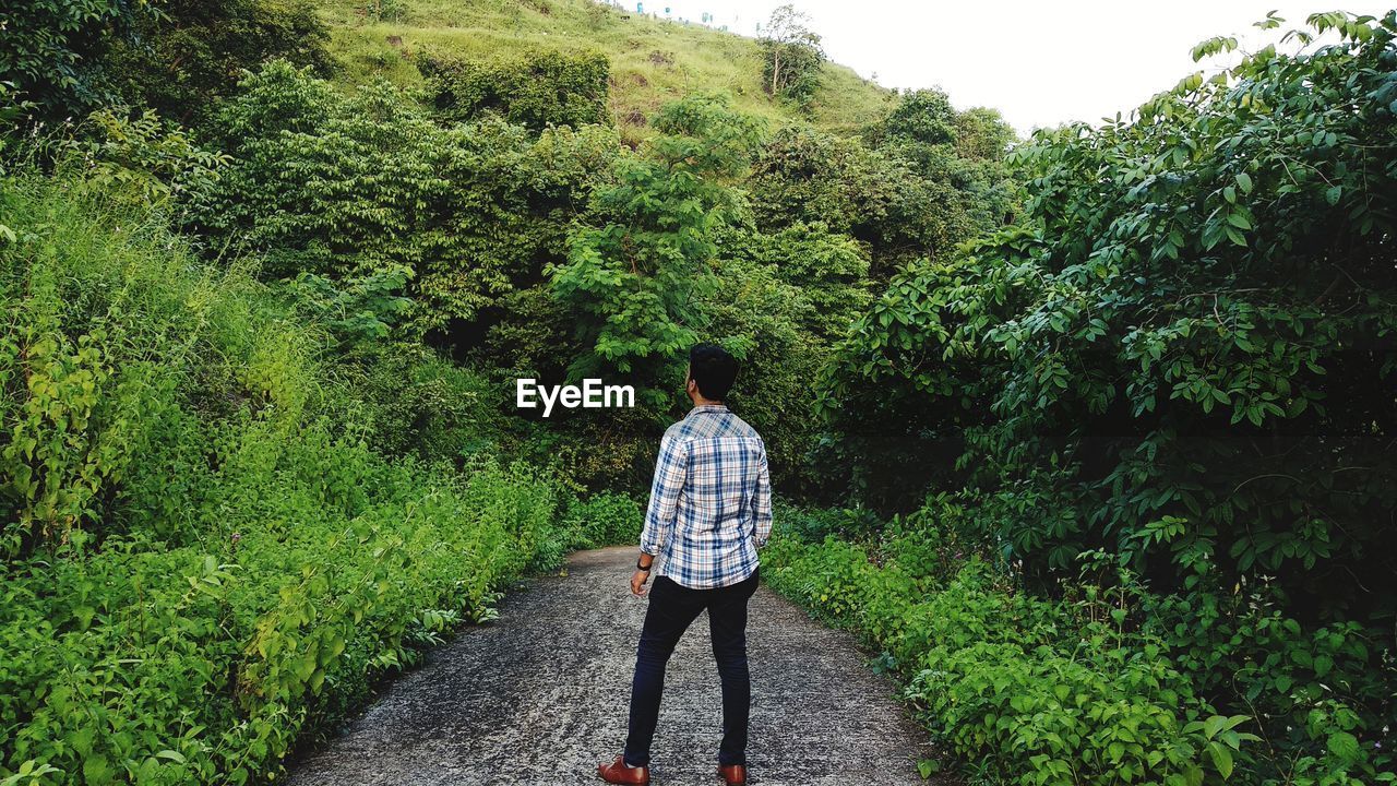 Rear view of man standing in forest