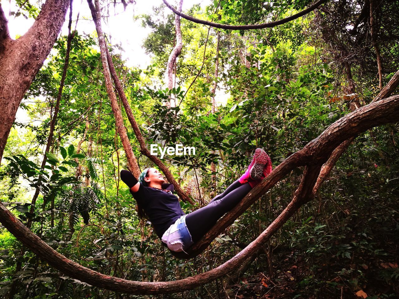 Woman relaxing on tree