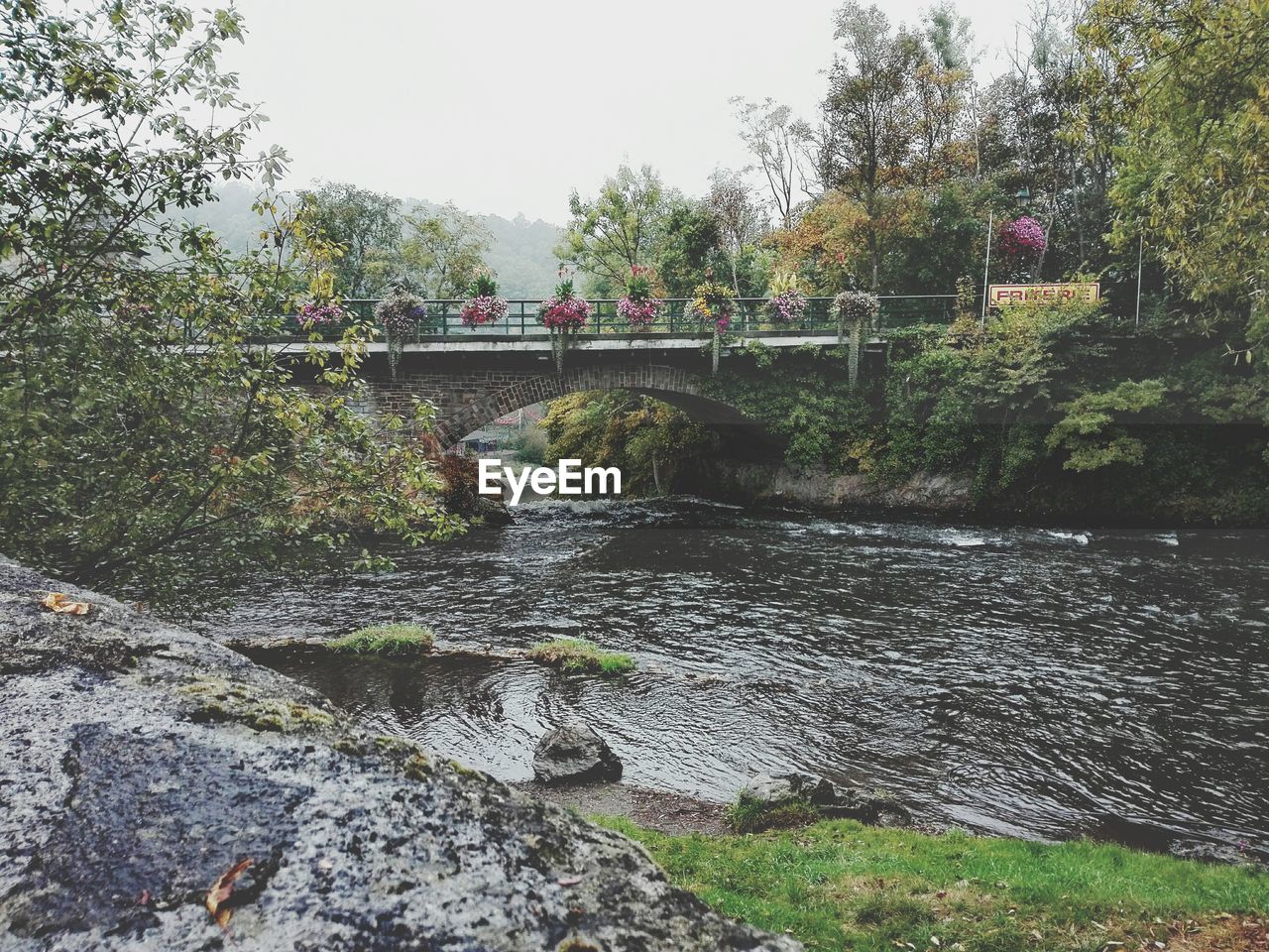 Scenic view of tree by bridge against sky