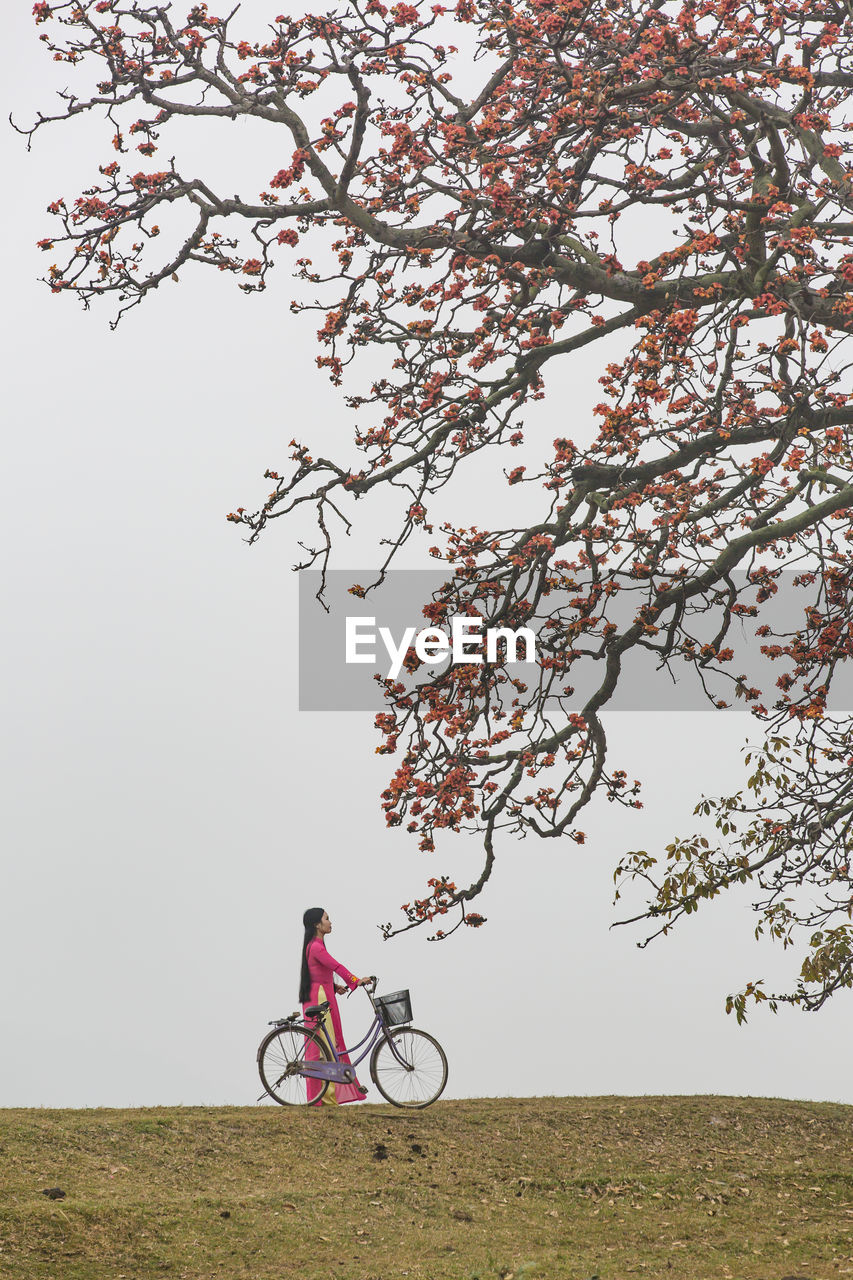 bicycle, plant, tree, transportation, nature, cycling, flower, sky, one person, mode of transportation, riding, activity, sports, leisure activity, beauty in nature, bicycle wheel, adult, full length, land vehicle, branch, day, environment, outdoors, vehicle, lifestyles, landscape, land, men, motion, travel, grass, spring, on the move, side view, growth, cherry blossom, field