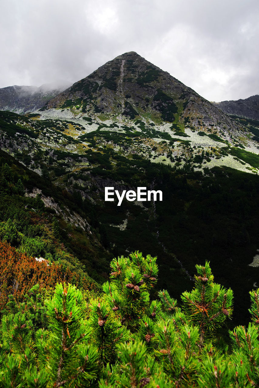 SCENIC VIEW OF LAND AGAINST SKY