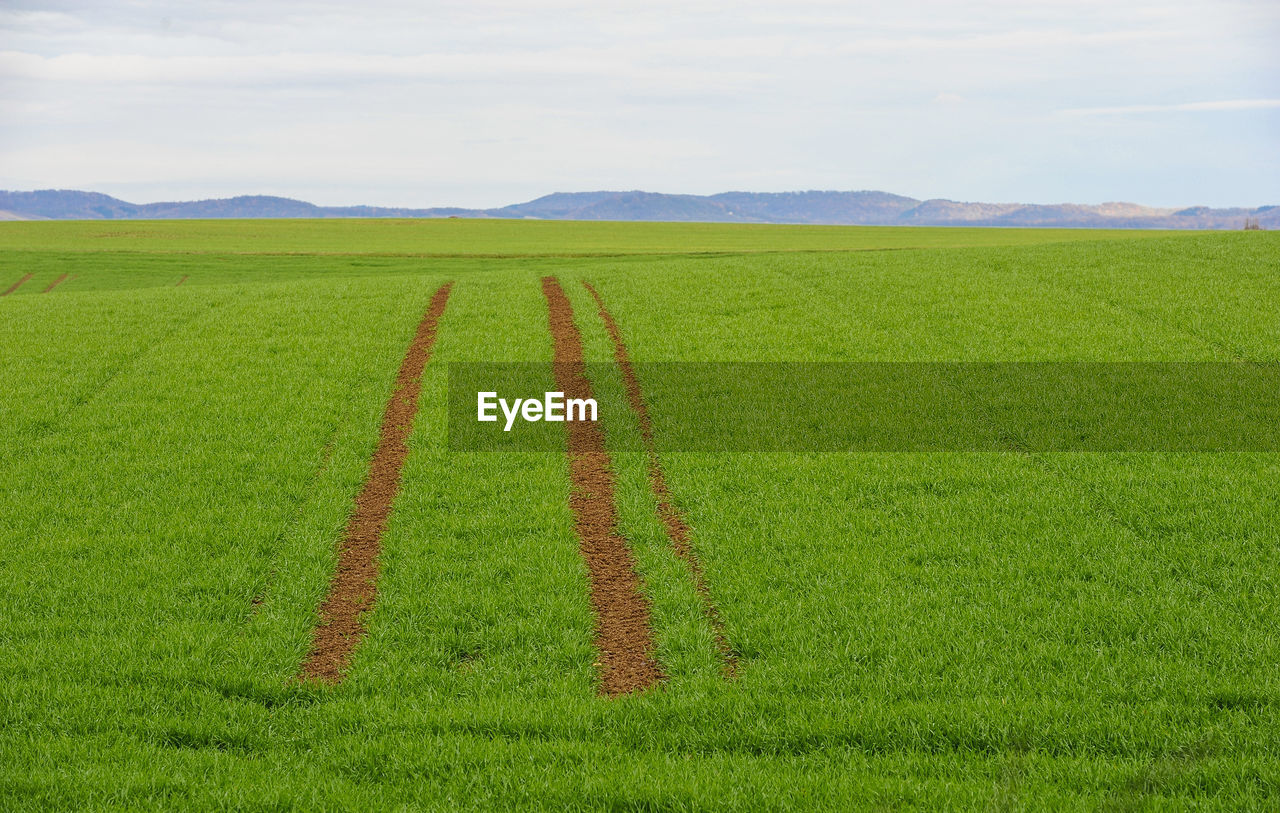 SCENIC VIEW OF FARMS AGAINST SKY