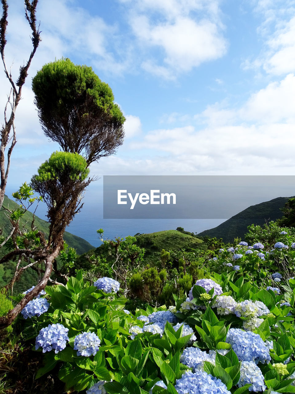 Scenic view of sea and rocks against sky