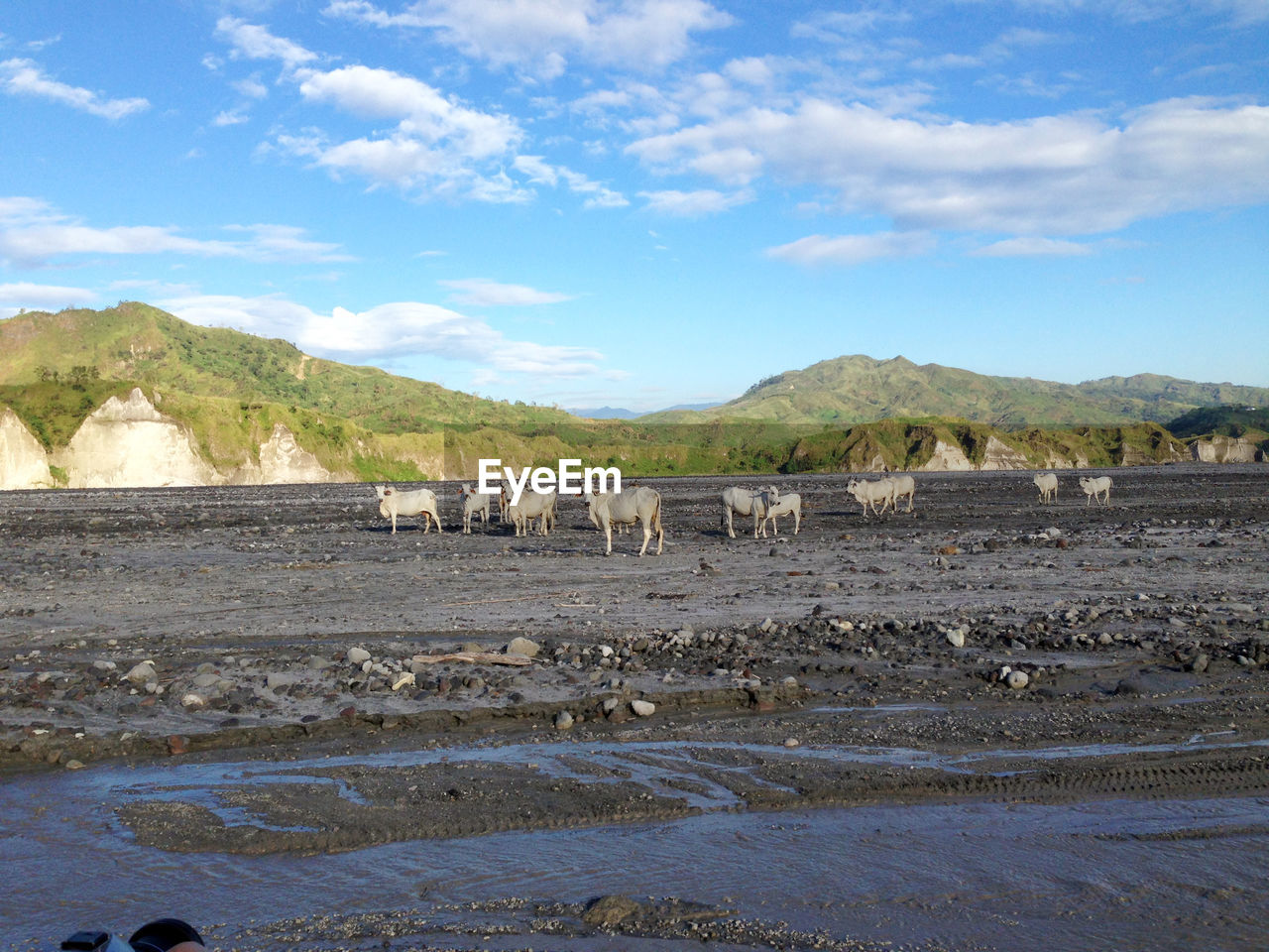 SCENIC VIEW OF LANDSCAPE AND MOUNTAINS AGAINST SKY