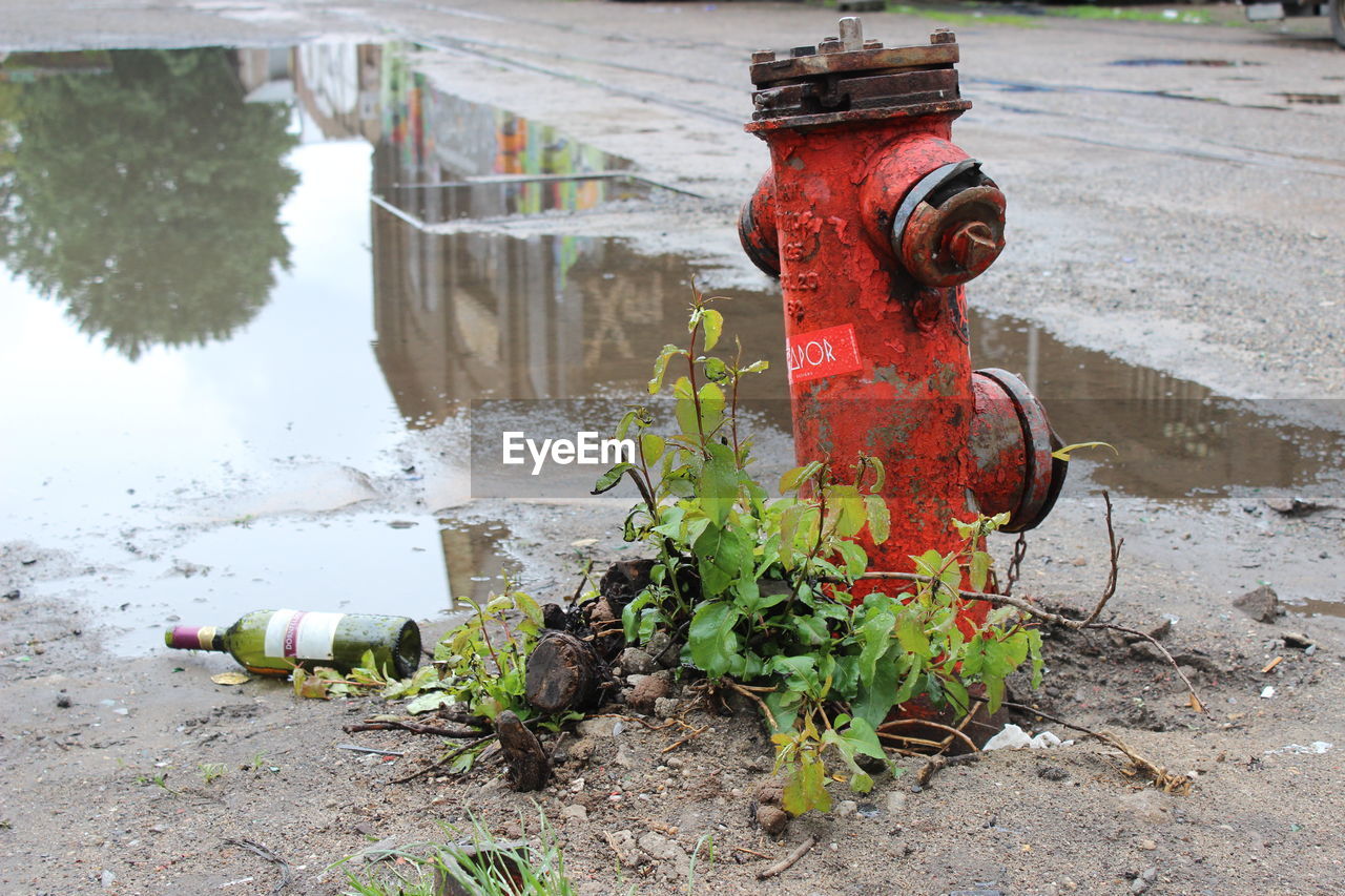 Close-up of old fire hydrant by wet street