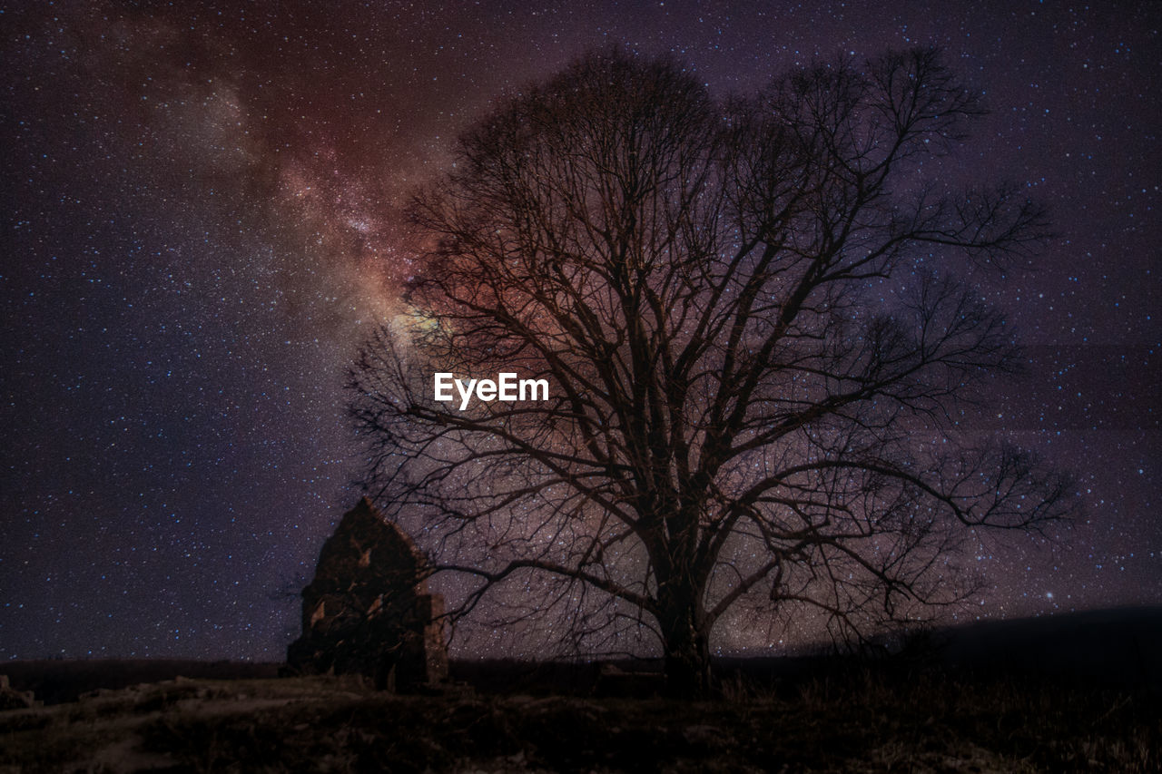 BARE TREE ON FIELD AGAINST SKY AT NIGHT