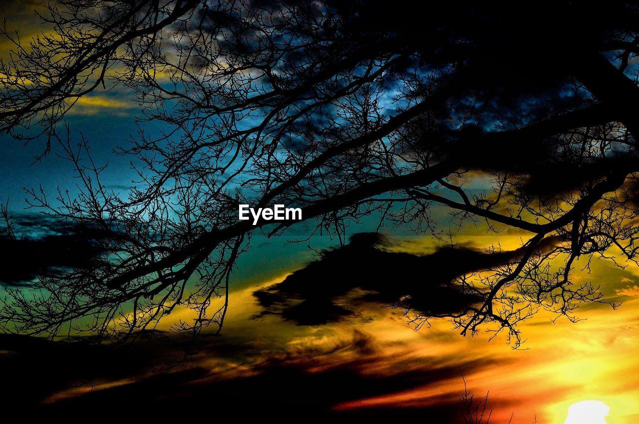 LOW ANGLE VIEW OF SILHOUETTE TREES AGAINST SKY AT SUNSET