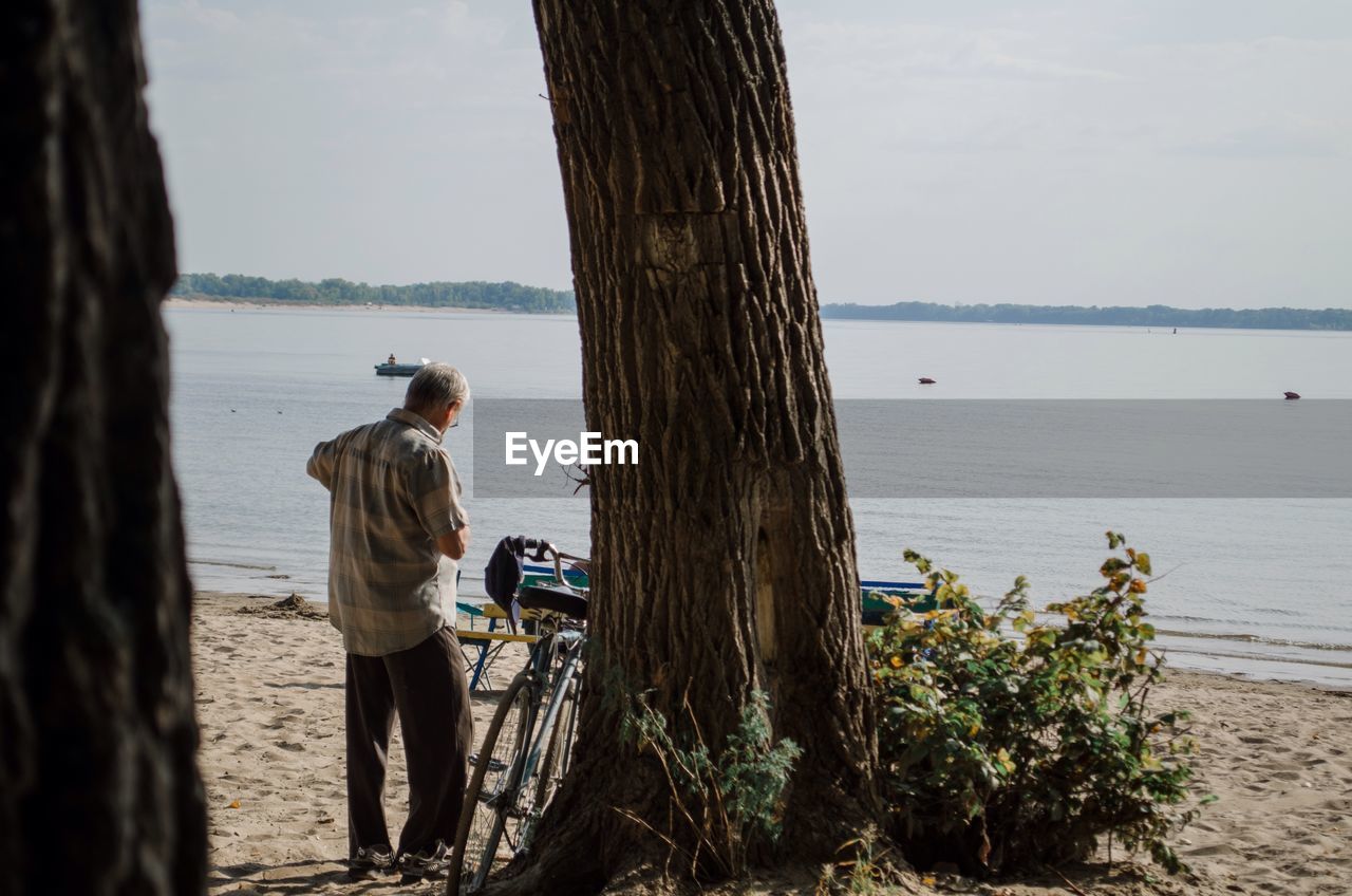 Rear view of man standing by tree trunk at beach against sky