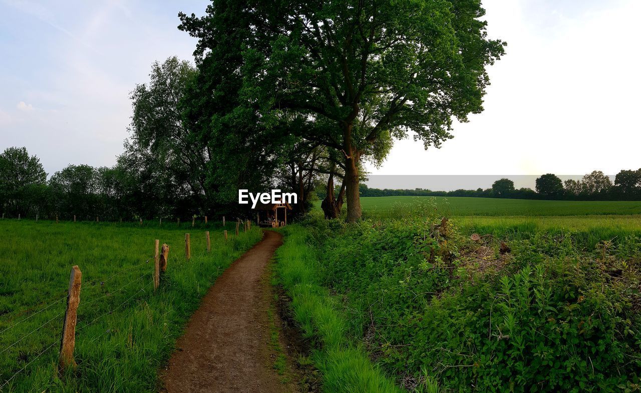 SCENIC VIEW OF FARM AGAINST SKY