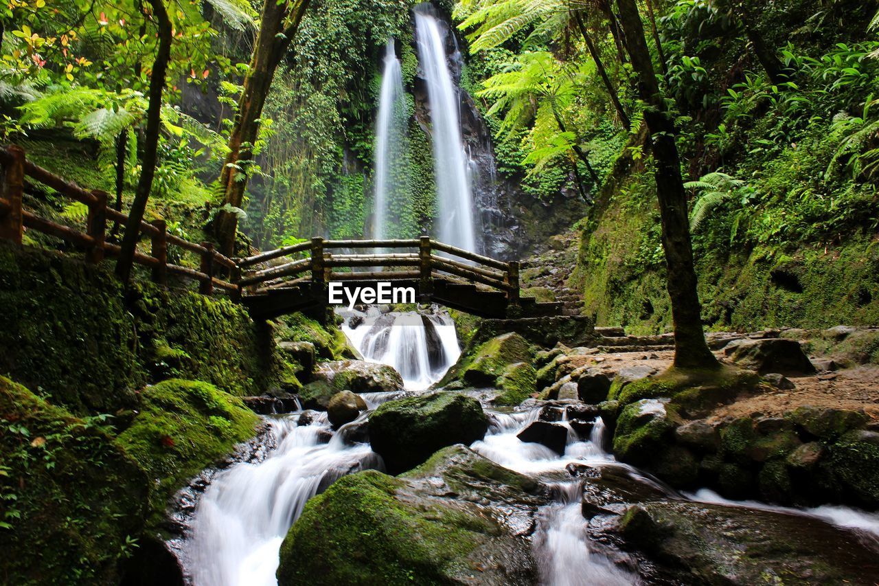 Scenic view of waterfall in forest