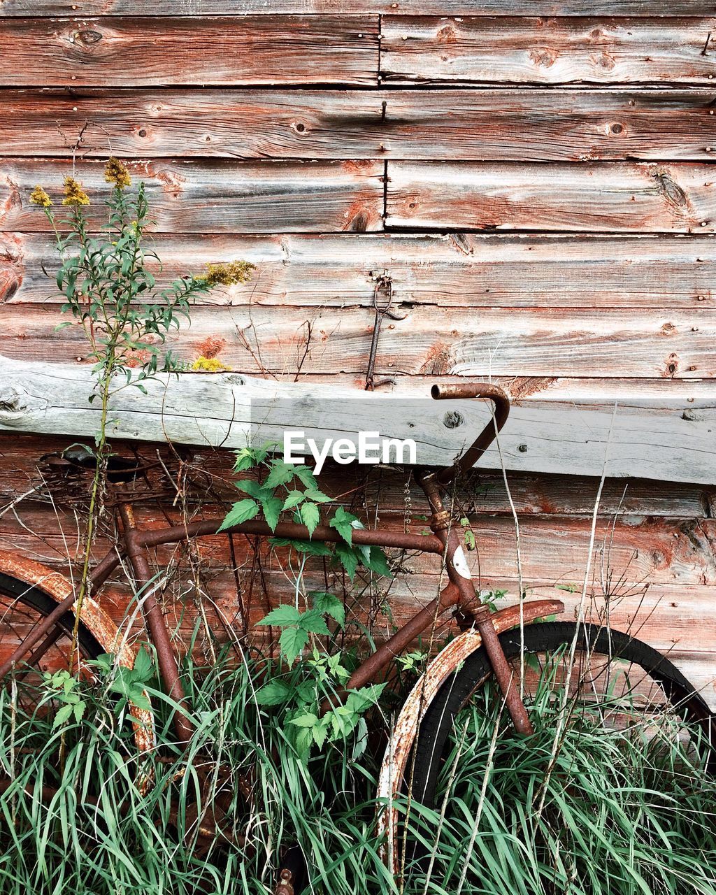 Close-up of old bicycle by wooden wall