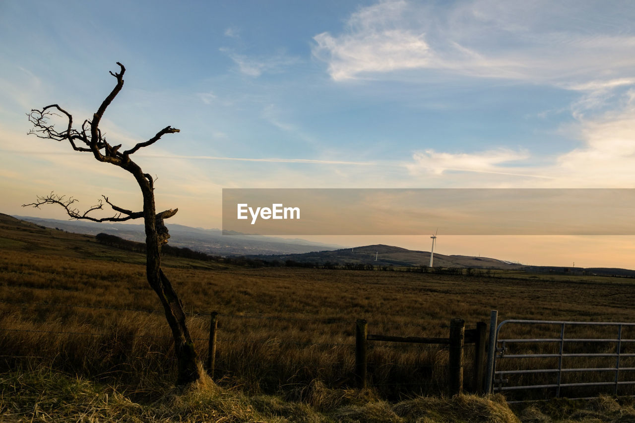 VIEW OF RURAL LANDSCAPE