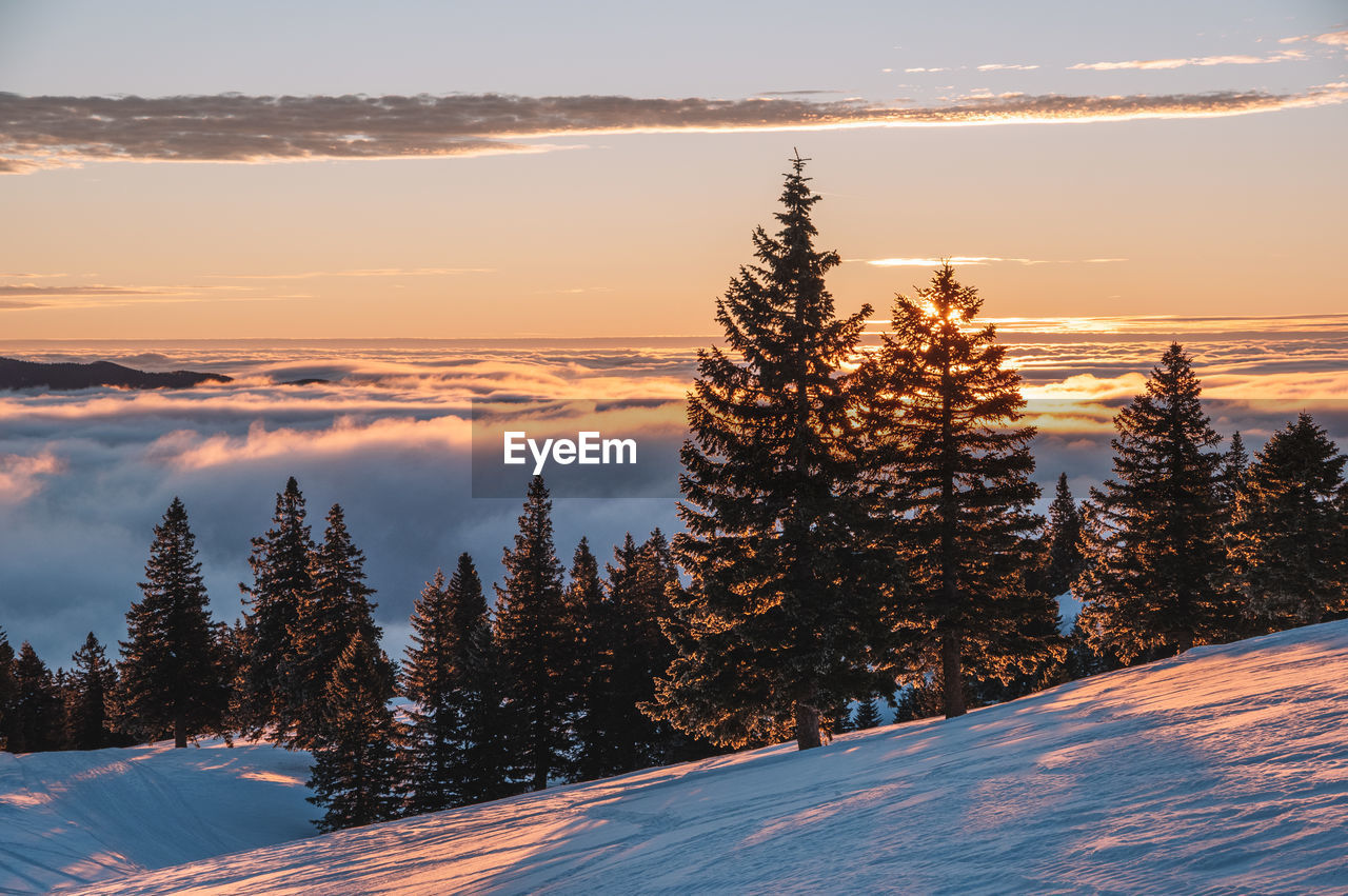 Snow covered land against sky during sunset