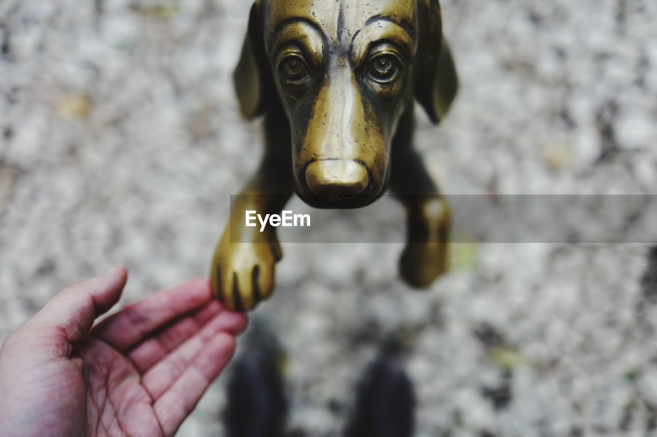 Cropped image of hand touching dog statue on floor