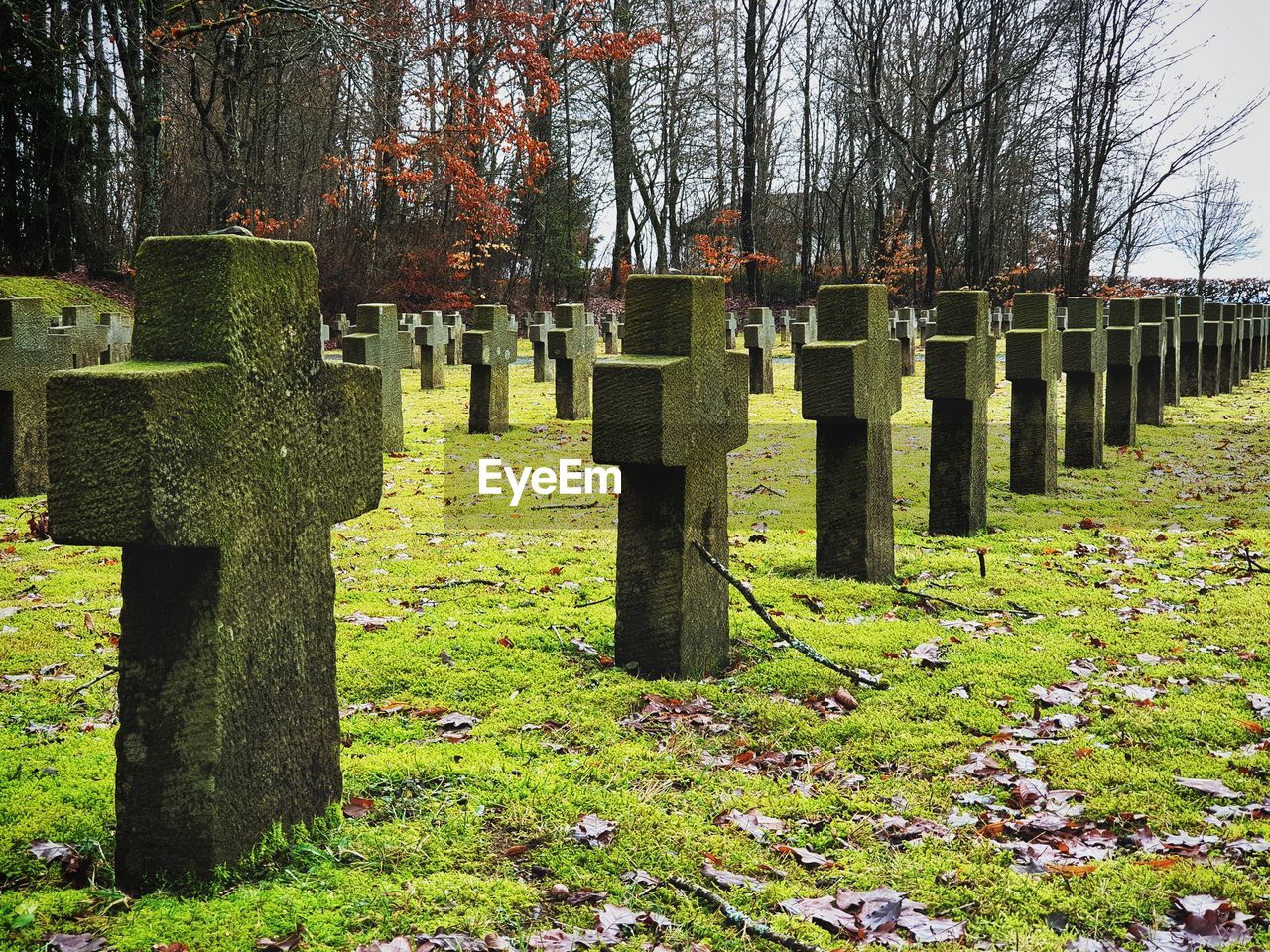 VIEW OF CROSS ON CEMETERY