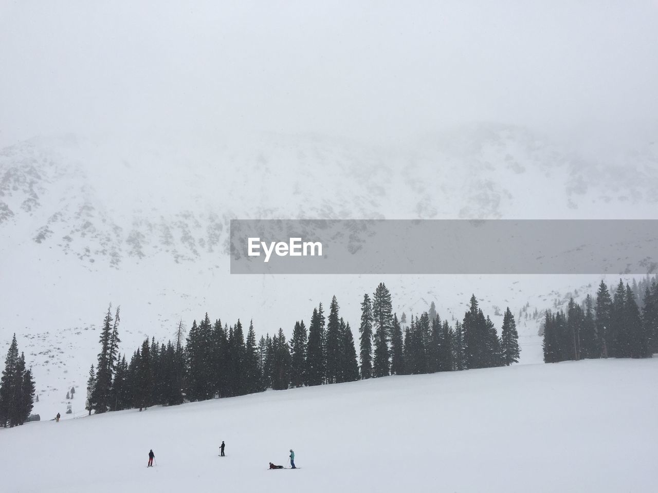 SNOW COVERED FIELD AND TREES AGAINST SKY