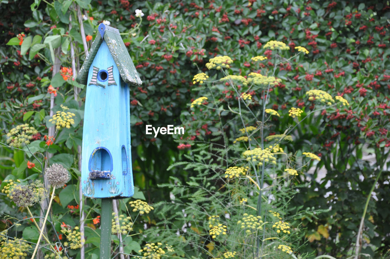 CLOSE-UP OF BIRDHOUSE ON WOODEN POST