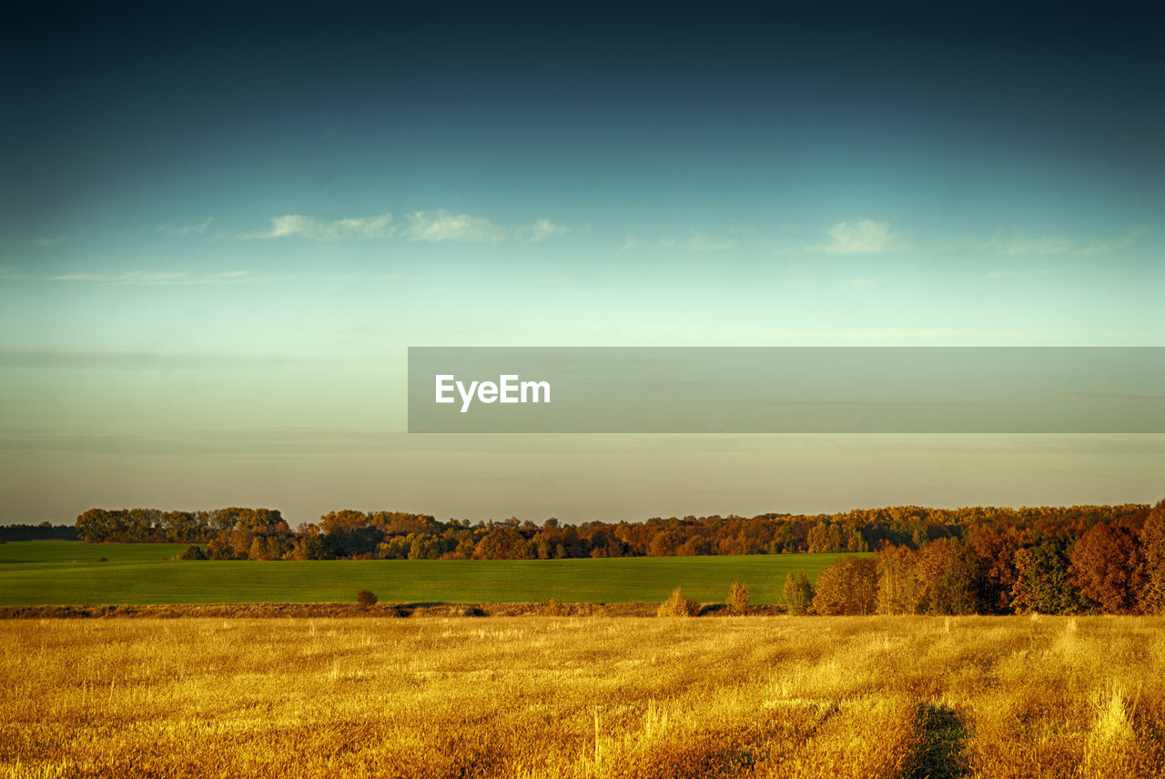 Scenic view of field against sky
