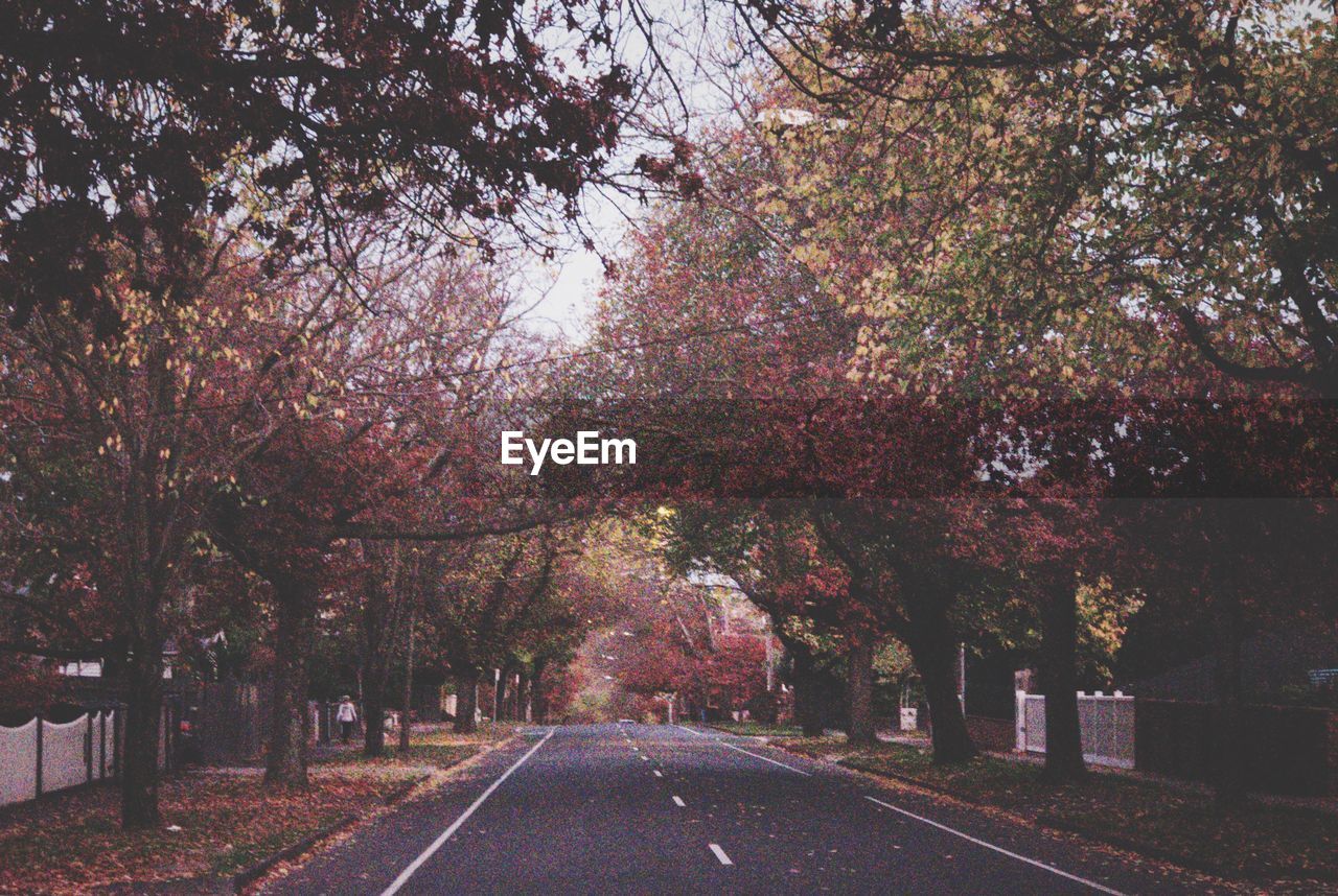 Road amidst trees against sky during autumn