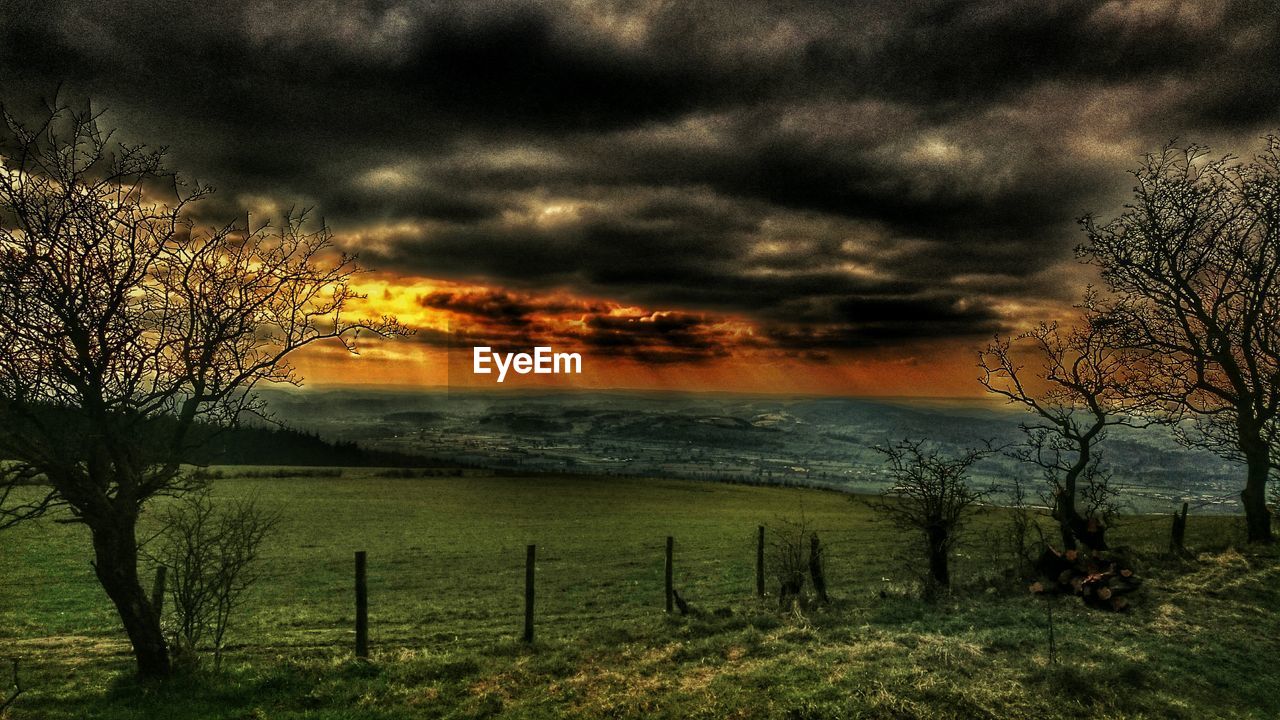 TREES ON FIELD AGAINST CLOUDY SKY