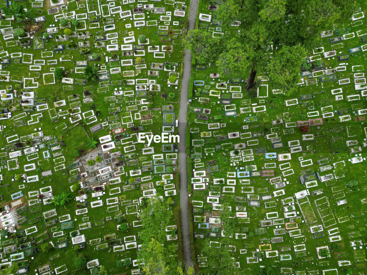 high angle view of trees