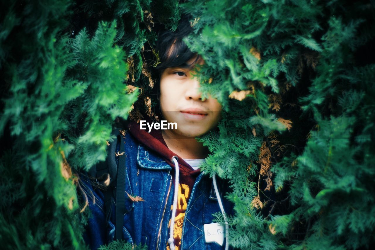 Portrait of teenage boy amidst trees
