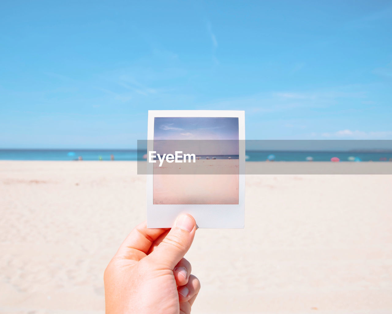 Cropped hand holding instant transfer print at beach