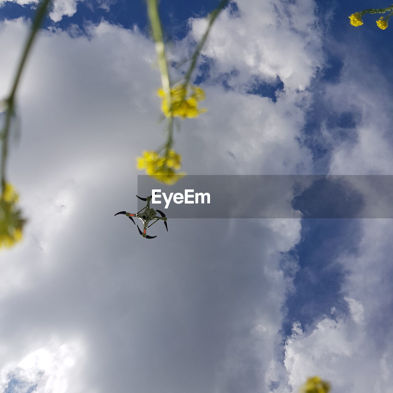 LOW ANGLE VIEW OF INSECT FLYING AGAINST CLOUDY SKY