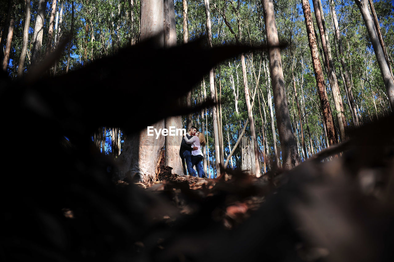 Couple embracing seen through leaves at forest