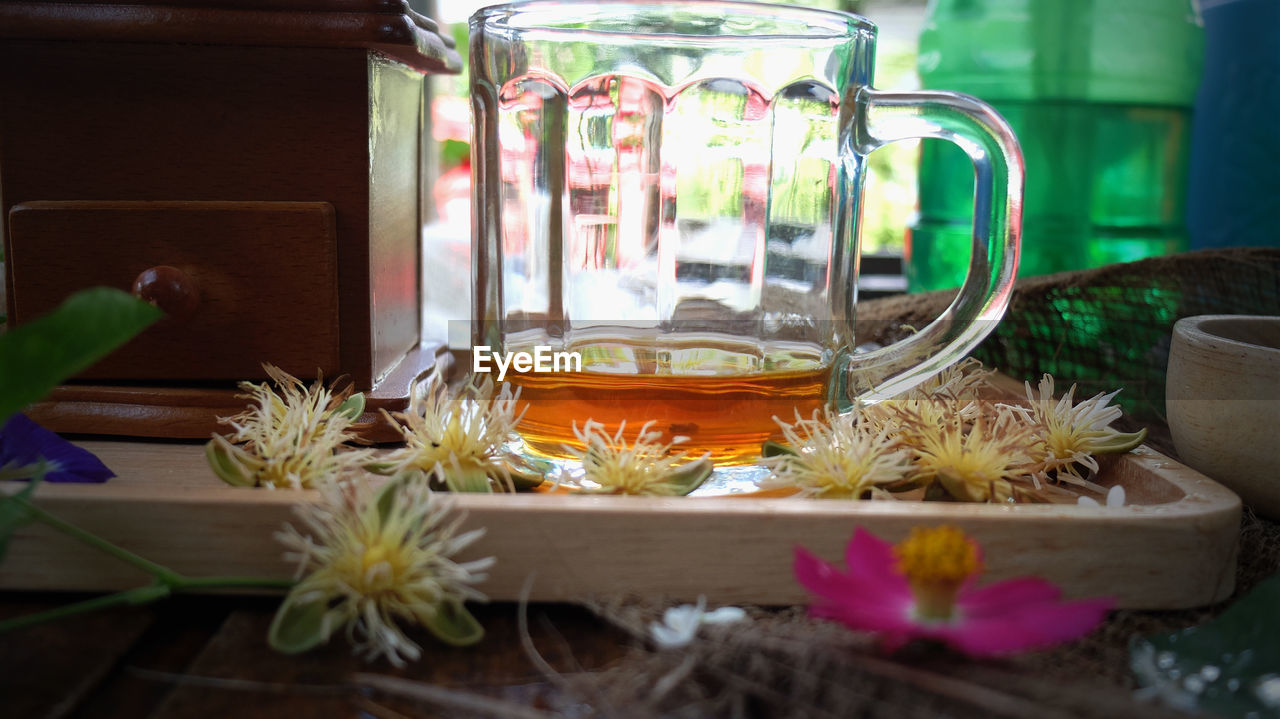 CLOSE-UP OF POTTED PLANT ON TABLE AT HOME