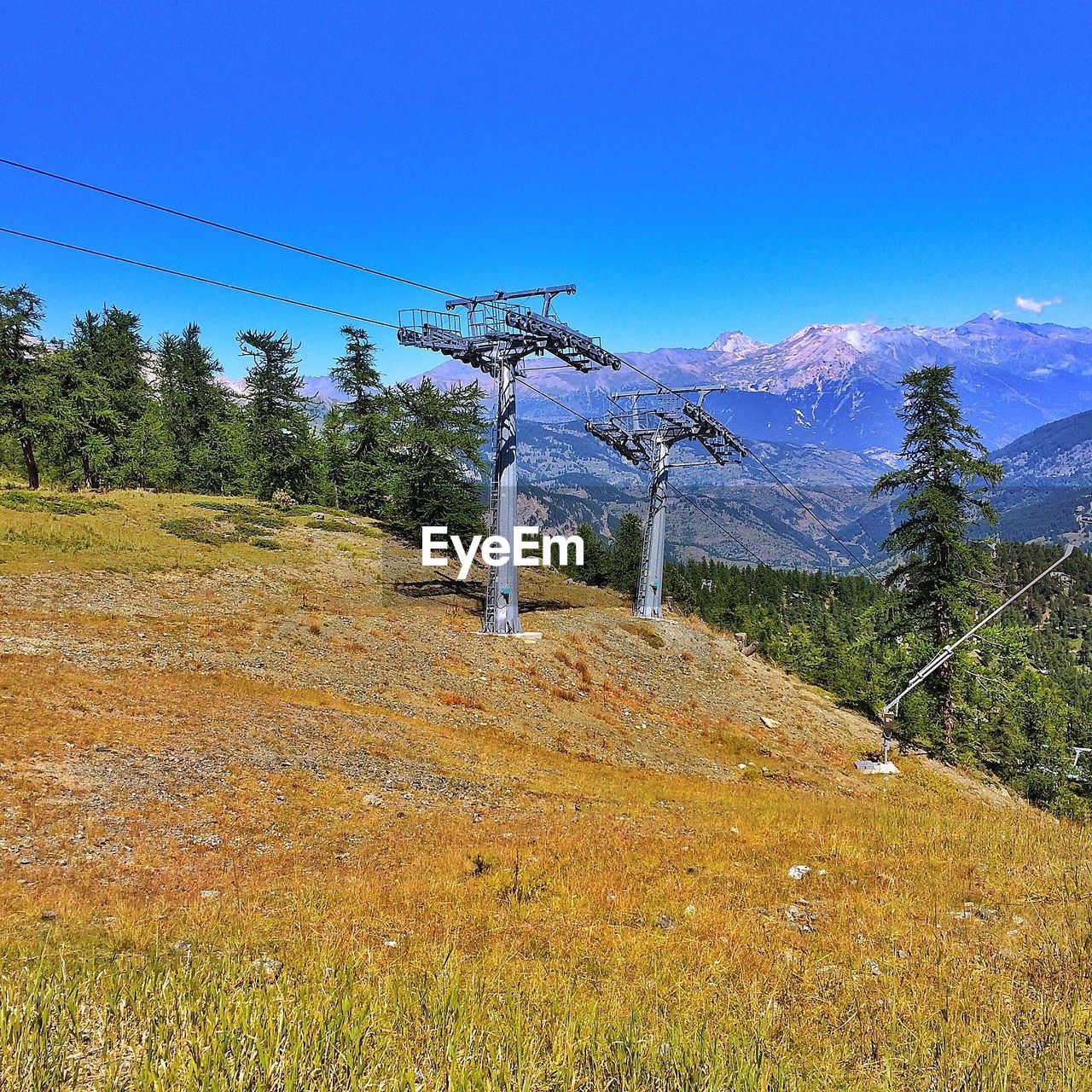 SCENIC VIEW OF TREES ON MOUNTAIN AGAINST SKY