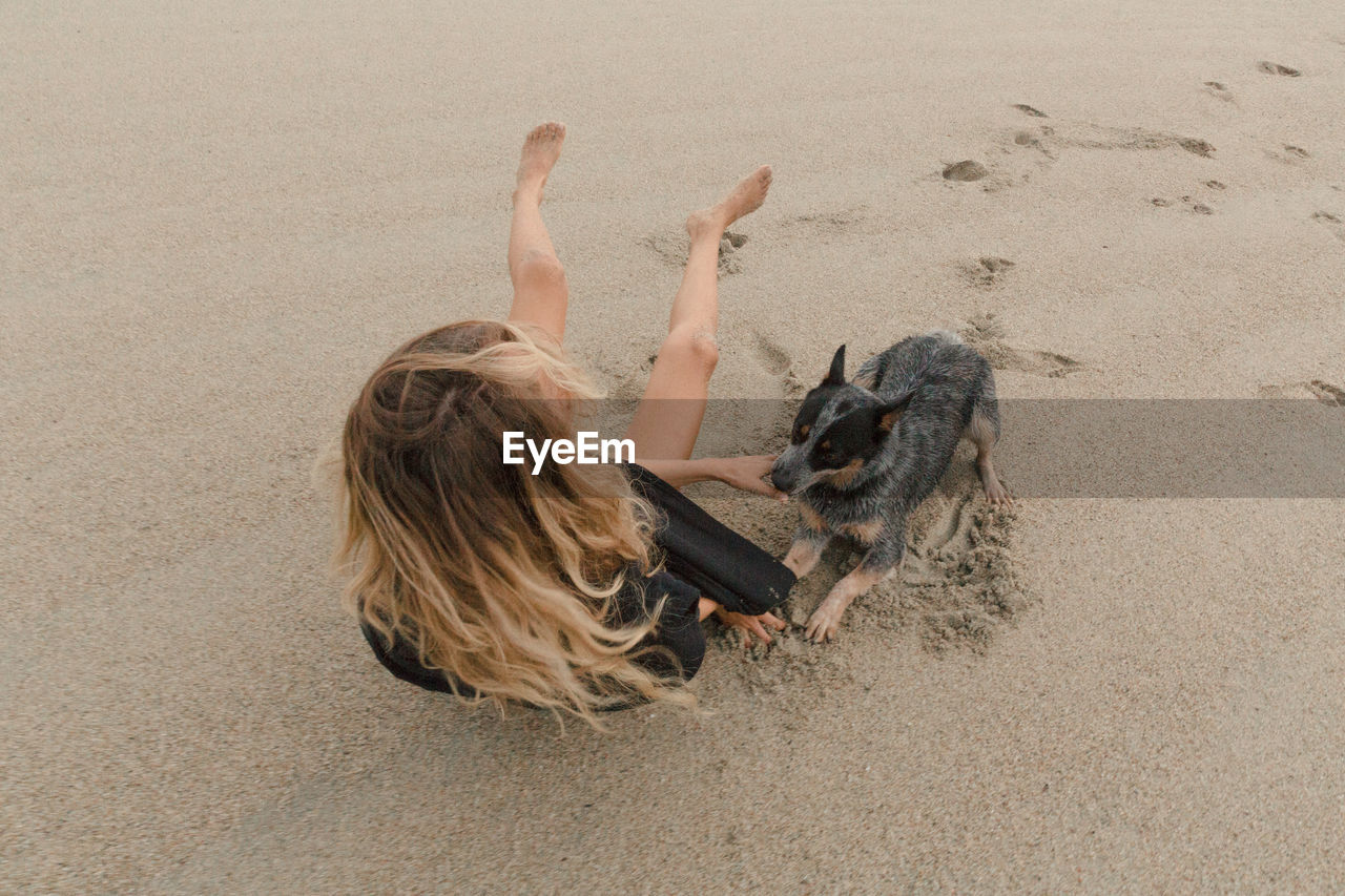 High angle view of woman playing with dog on sand at beach