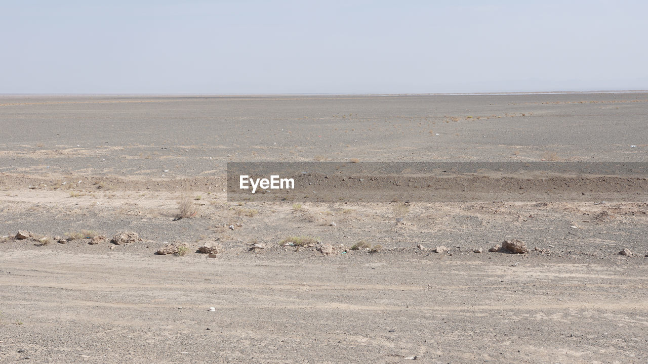 SCENIC VIEW OF AGRICULTURAL LANDSCAPE AGAINST CLEAR SKY